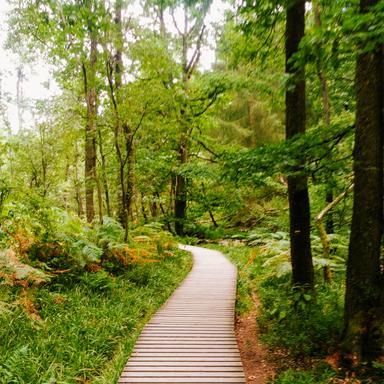 Rubens2314 Rubens Github - Abstract Wallpapers - Modern High Resolution Collection