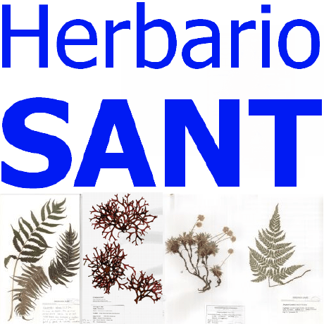 Hrqsant Henrique Sant Github - Nature Background Collection - Full HD Quality