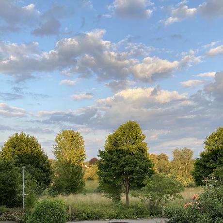 Rrmayer The Mayer Github - Mobile Colorful Designs for Desktop