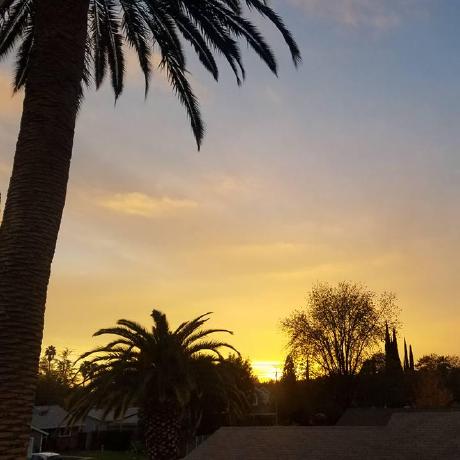 Tedtinker Ted Github - Nature Picture Collection - Full HD Quality