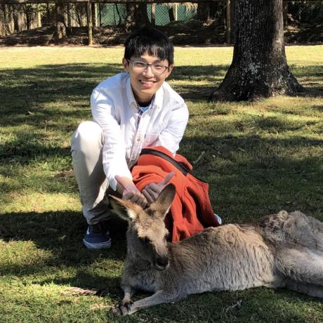 Wenchao Ding - Creative Light Pattern - Desktop