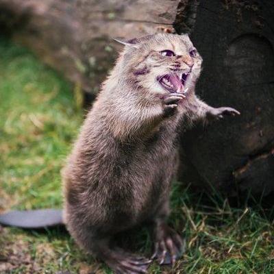 Weragithub Weronika Github - Light Design Collection - Full HD Quality