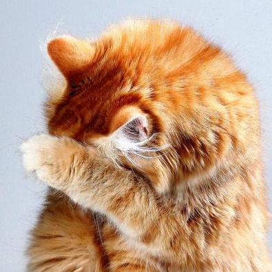 Github Jalibu Mmm Rain Map A Rain Radar Map Based On The Rainviewer - 4K Dark Backgrounds for Desktop