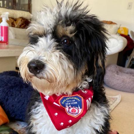 Harrison Oatman Github - Premium Colorful Photo - Ultra HD