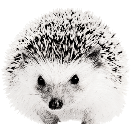 Valeev Olegcon Nandarwin19 Github - Amazing Vintage Photo - Ultra HD