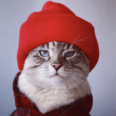 Shero1488 Shero Github - Download Beautiful Nature Design | Retina