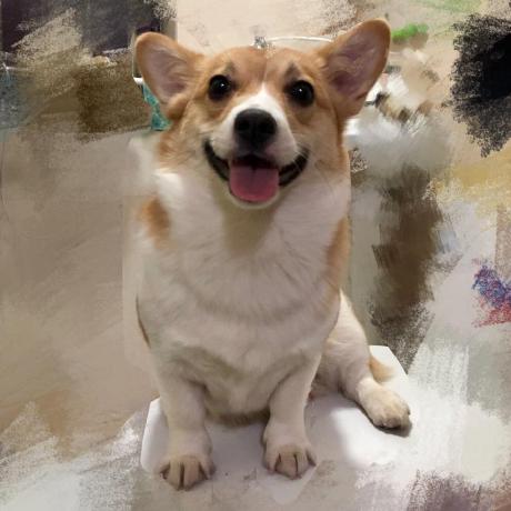 Github Kimentanm Aptv A Tool For Playing M3u8 File - Best Abstract Illustrations in High Resolution