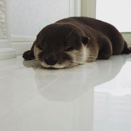 Github Ethan Vann Ethanvannlibrary - Classic High Resolution Space Backgrounds | Free Download