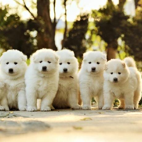 Rack Leen Rack Leen Github - Download Premium Abstract Photo | Retina