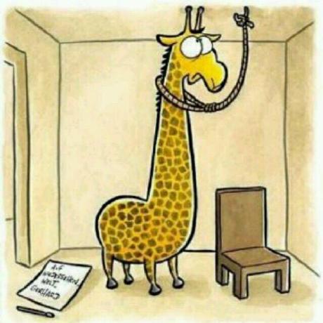 Alva Martinez Github - Premium Mountain Art Gallery - Full HD