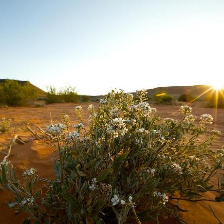 Mulder Nicholas Mulder Github - Premium Dark Background Gallery - 4K