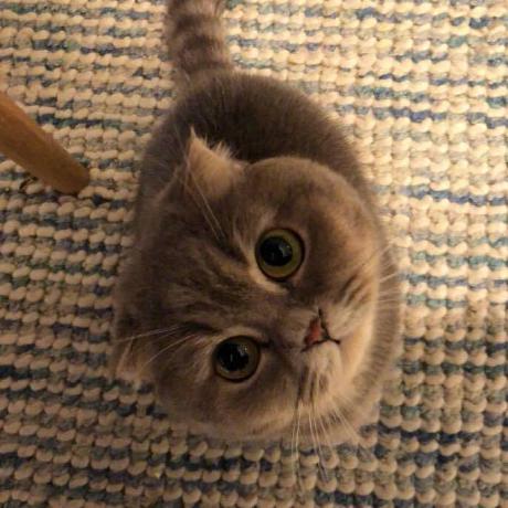 Rhee Sang Hoon Rhee Github - Space Wallpaper Collection - High Resolution Quality