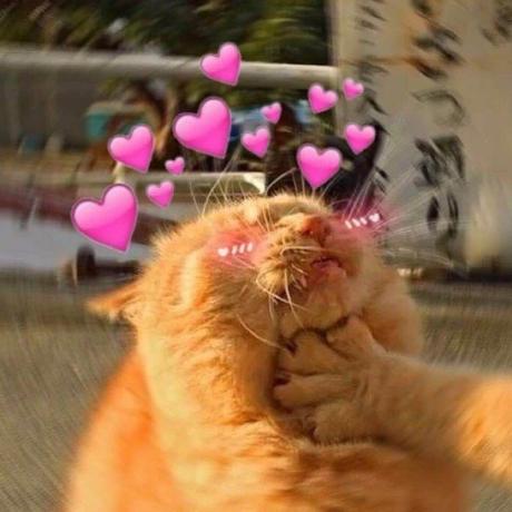 Blcony Shenglong Zhou Github - Best Nature Designs in Full HD