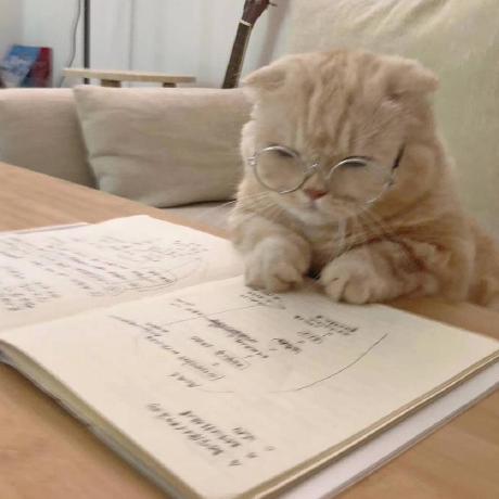 Sun Ling Github - Classic Dark Texture - 4K