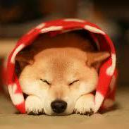 Guanyu98 Guanyu Github - Premium Sunset Background Gallery - Retina