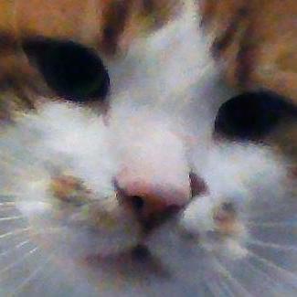 Github Gamr13 Gamr13 Github Io Website Containing Access To Xbox - Geometric Arts - Ultra HD Ultra HD Collection