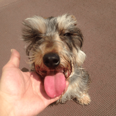 Teddymarty Teddy Github - Stunning Dark Art - 4K