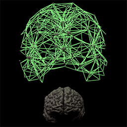 Brainnetworks Github - Best City Photos in 8K