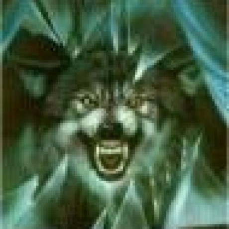 Alphawolf Bot Alpha Wolf Github - Minimal Illustration Collection - Retina Quality