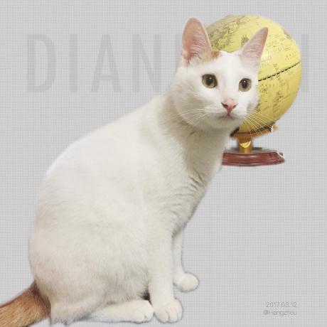 Github 79kinro Diandian - Stunning Sunset Image - Mobile