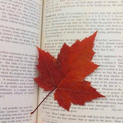 Github Bencardoen Datacurator Jl A Scalable Julia Package To - High Resolution Ocean Backgrounds for Desktop