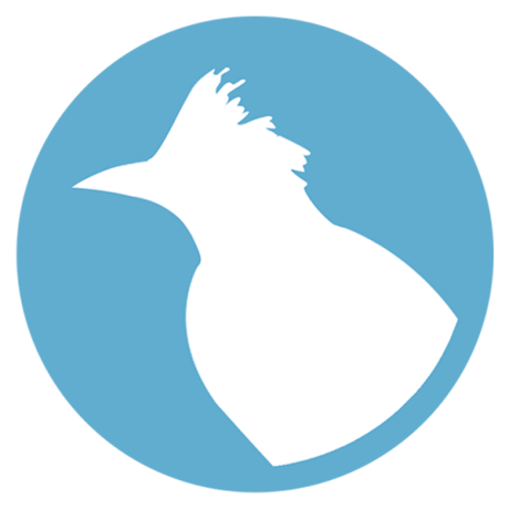 Raso Team Github - Classic City Pattern - 8K