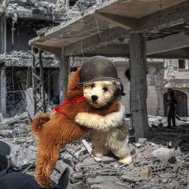 Steveaugustine Steve Augustine Github - City Designs - Stunning 8K Collection