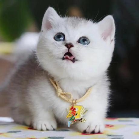 Cold Air Github - Premium Colorful Photo Gallery - 4K