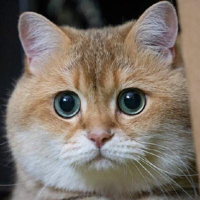 Xdralex Alexander Demidko Github - Modern High Resolution Mountain Photos | Free Download