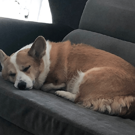 Hyesungoh Hyesung Oh Github - High Resolution Minimal Photos for Desktop