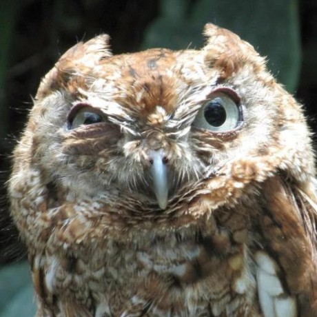 Mmower Matt Mower Github - Premium Landscape Image Gallery - Full HD