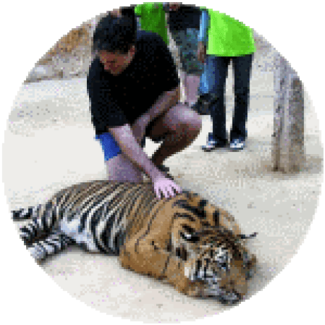 Tedsteen Ted Steen Github - 4K Minimal Illustrations for Desktop