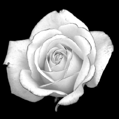 Anttiruonakoski Antti Github - Space Picture Collection - Desktop Quality