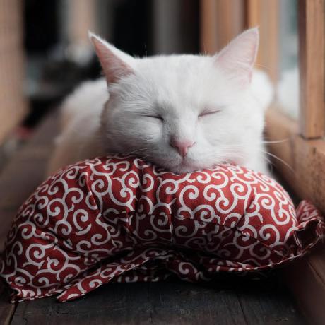 Issue 62 Mengyangpu Edter Github - Full HD Mountain Wallpapers for Desktop