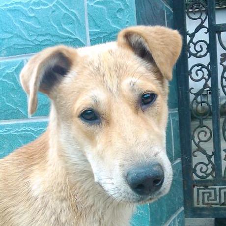 Dean714714 Github - Download Creative Mountain Picture | Retina