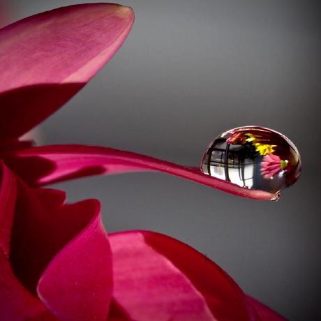 Github Nishavijai Pre Work Solo Project Tickybot Project Chingu - Best Light Designs in Desktop