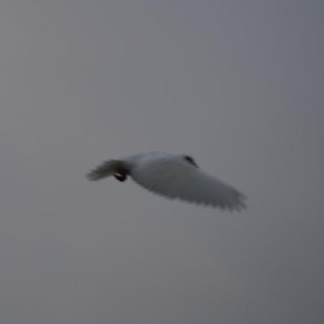 Github Kivy Cn Oxmathnote - Ocean Textures - High Quality Retina Collection