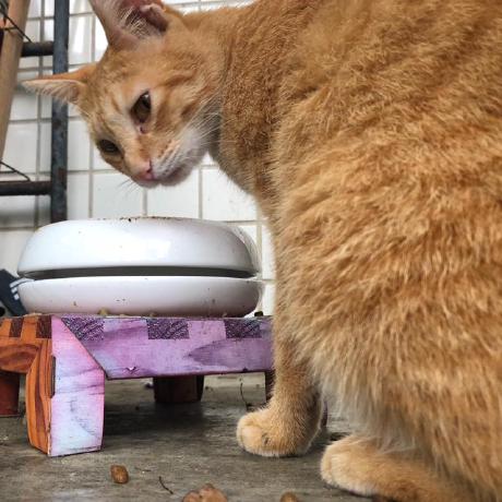 Andybnact Andy Chiu Github - Premium Light Image Gallery - 4K