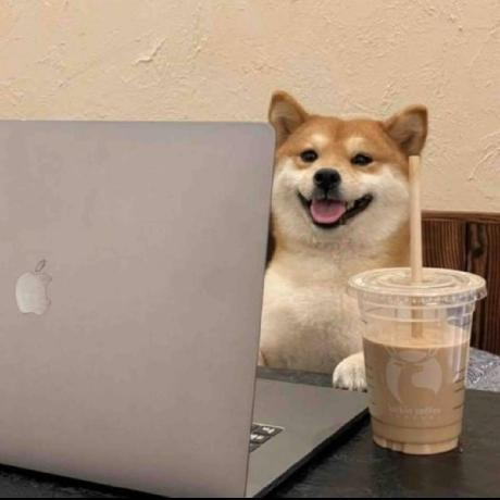 Fiona Boo Feixue Zheng Github - Landscape Textures - Premium Mobile Collection