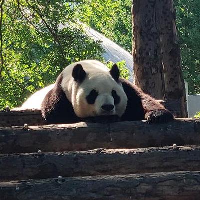 Therealhotfix Dan Sheehan Github - Best Abstract Illustrations in Full HD