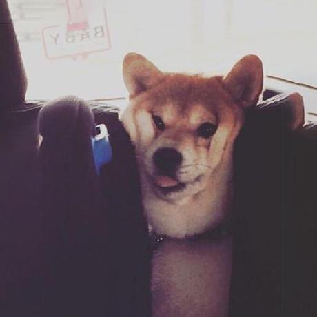 Github Cokolele Terraria Map Editor Api Api Server For Terraria Map - Download Gorgeous Colorful Background | 4K