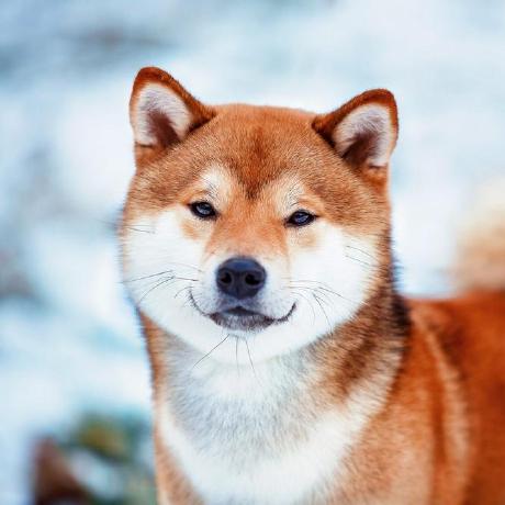 Github Nutchapolbook Metacoin - Best City Illustrations in Desktop