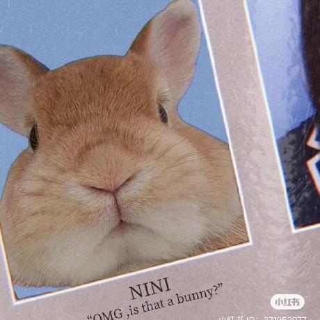 X Sybil Github - Premium Mountain Illustration Gallery - Ultra HD