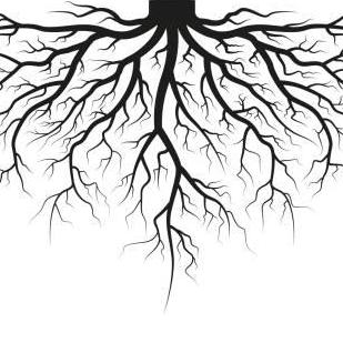 Horke Root Github - Light Texture Collection - HD Quality