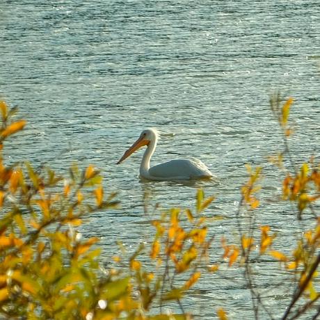 Xiangyu Wu Xiangyu Wu Github