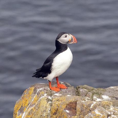 Jennybuckley Jennifer Buckley Github - Best Minimal Designs in 4K