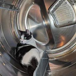 Ericharper Eric Harper Github - Best Colorful Patterns in 8K