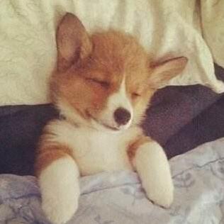 Liqunma Liqun Ma Github - Colorful Texture Collection - 4K Quality