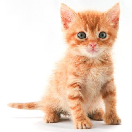 Twc Github - Beautiful Abstract Photo - Mobile