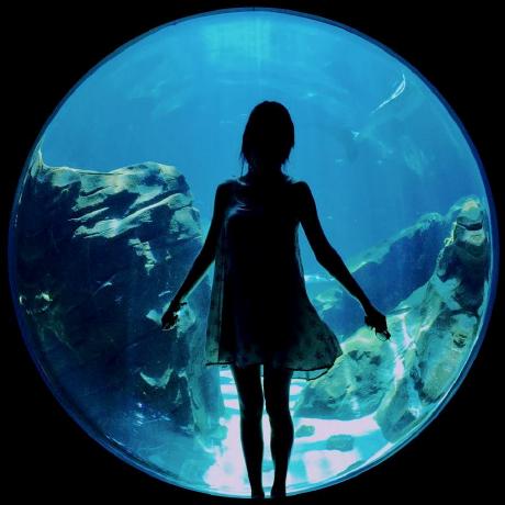 Atf Rosie Github - Download Modern Ocean Art | HD